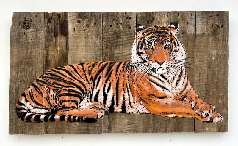 Tigre allongé